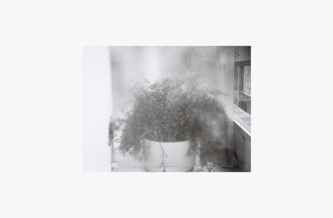Nhu Xuan Hua Mathild warnier Amine Gouga Wonderland Fragment